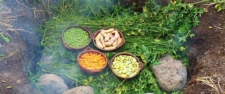 6 Foods You Should Bury in Your Backyard