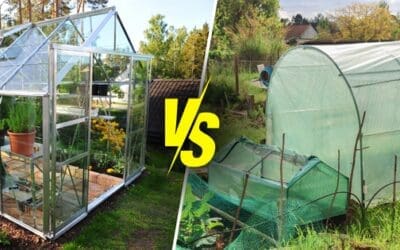 Greenhouse vs Hoophouse