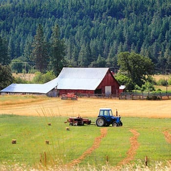 Homestead vs Farm