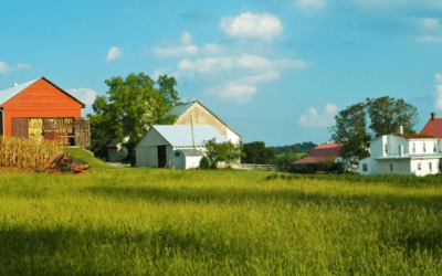 Homestead vs. Farm