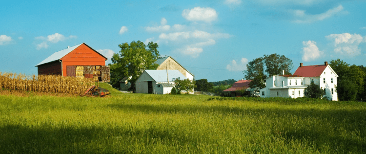 Homestead vs. Farm