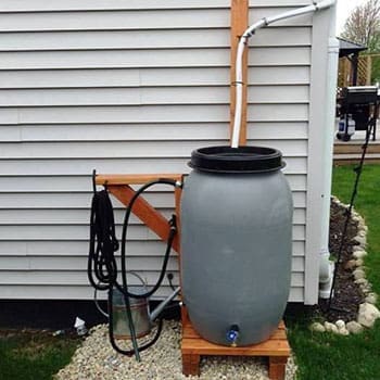 Homesteading Skills You Need Before The Next Crisis - rainwater barrel