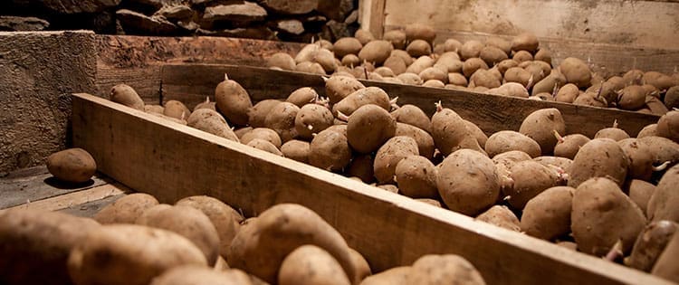 How Long Do Potatoes Last?