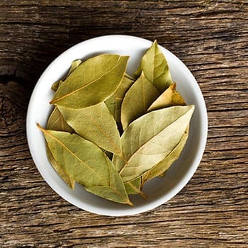 How To Protect Your Food Storage From Insects