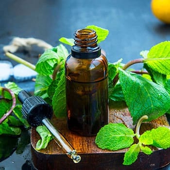 How To Protect Your Food Storage From Insects