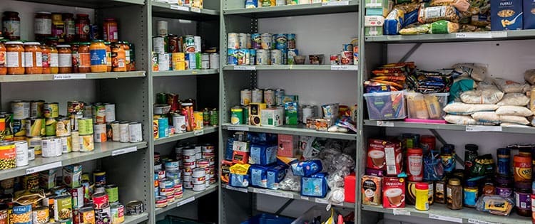 How To Protect Your Food Storage From Insects