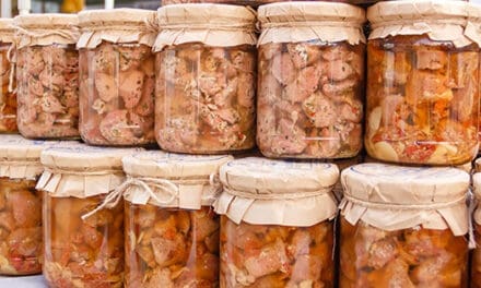 I Ate Only Canned Meat for 6 Months and This Happened