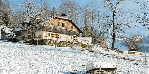 The Most Important Project You Need to Make This Winter on Your Property