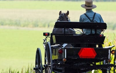 Homesteading Lessons I Learned from the Amish