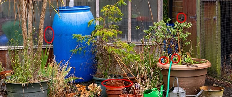 Signs You’re Probably Not Taking Homesteading Seriously