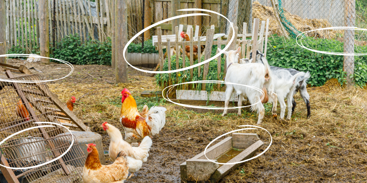 15+ One-Hour Projects You Need to Get Done By Summer