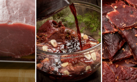 DIY Beef Jerky Recipe