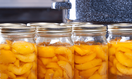 How to Can Peaches
