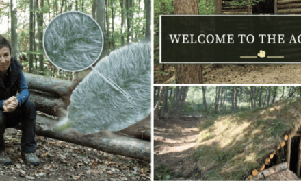 I Joined The Wilderness Long-Term Survival Academy And This Is What Happened