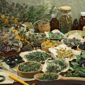 medicinal herbs and plants