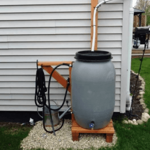 rainwater collection barrel