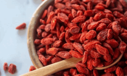 The Ultimate Guide to Growing Goji Berries: A Superfood in Your Backyard