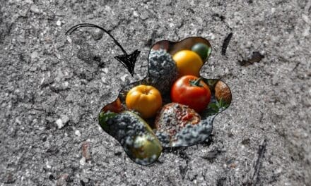 Why You Should Bury Your Food in Ash