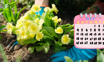 Grandma’s May Planting Guide: The Flowers & Veggies She Swore By
