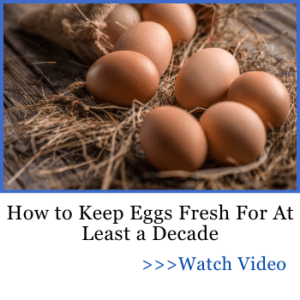 How to keep eggs fresh for at least a decade