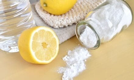 Deterring Unwanted Pests with Lemon and Baking Soda
