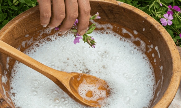 The Soap That Might Be Growing In Your Backyard