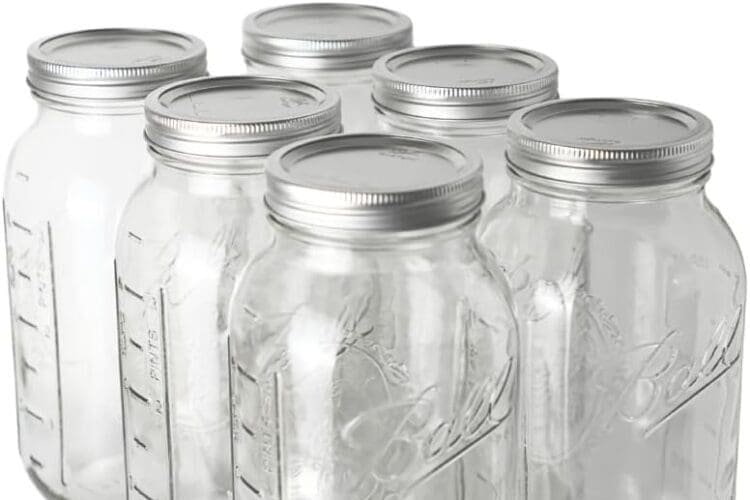 Ball 6-Pack Half-Gallon Mason Jars with Lids
