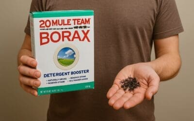 Borax Ant Killer: A Simple, Natural Way to Reclaim Your Home