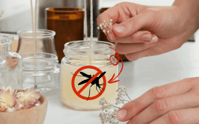 DIY Mosquito Repellent Candles