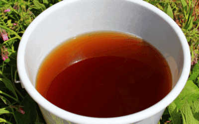 The One Plant That Can Fix Your Entire Garden – And You’re Probably Ignoring It