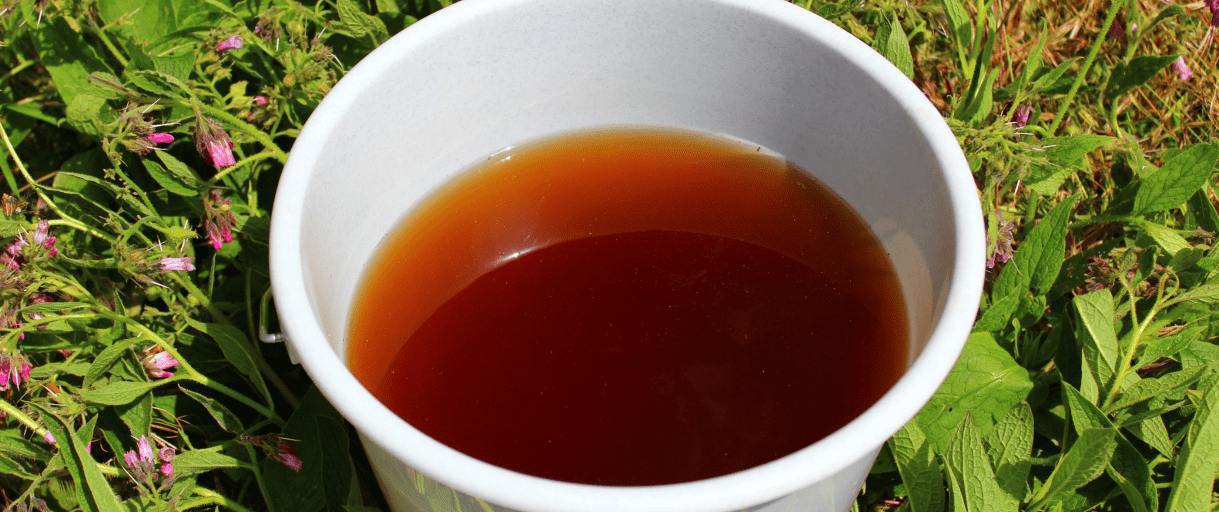 The One Plant That Can Fix Your Entire Garden – And You’re Probably Ignoring It
