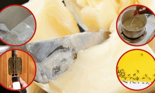 Ingenious Uses of Tallow You Never Thought Of (Except Eating!)