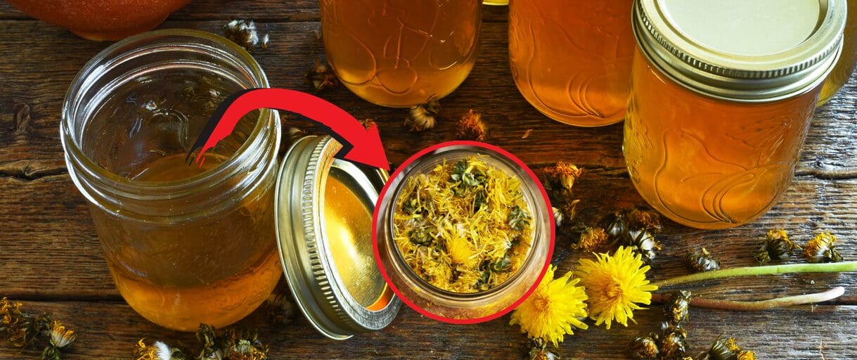 How To Make Survival Dandelion Jelly with 2 Years Shelf Life