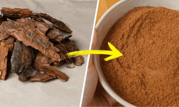 How to Make Long-Lasting Flour from Wild Grains, Seeds, Nuts and Bark