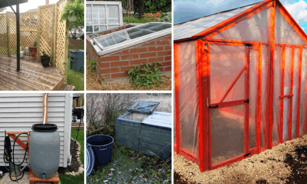 8 Backyard Projects You Can Make on a Budget