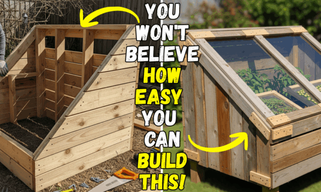 How I Made a Solar Herb Dryer with Scrap Materials