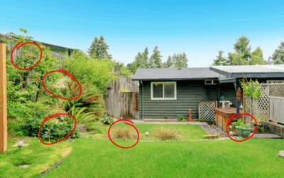 The Weeds in Your Backyard You Should Start Eating Today