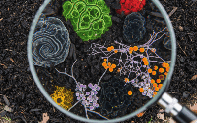 This Is How Your Compost Could Kill You