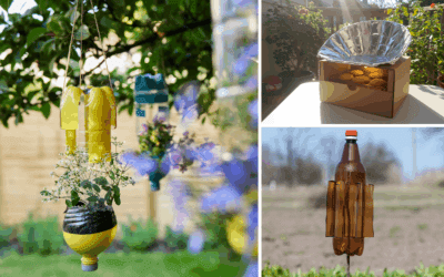Smart Ways To Reuse Things That You Usually Throw Away