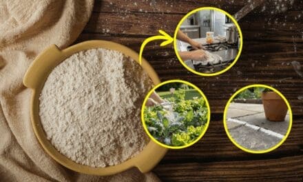10 Ingenious Uses for Flour Around Your Home