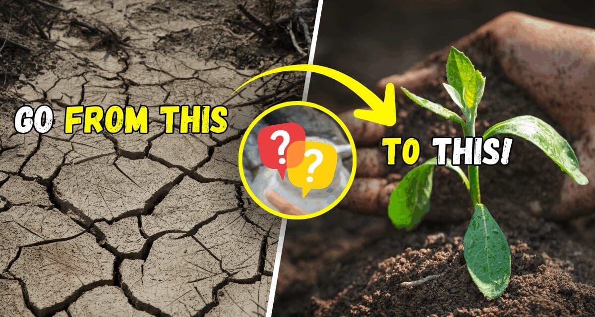 5 Forgotten Soil-Revival Methods That Can Save Your Harvest
