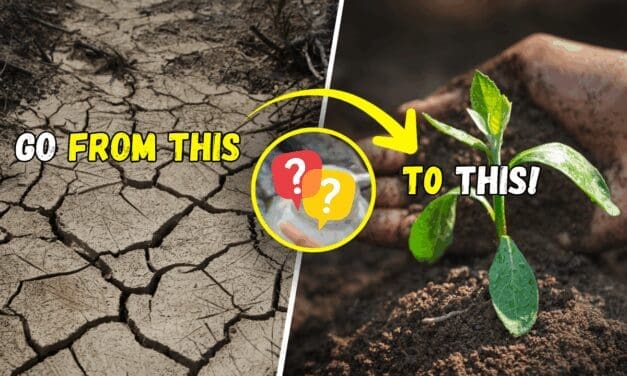 5 Forgotten Soil-Revival Methods That Can Save Your Harvest