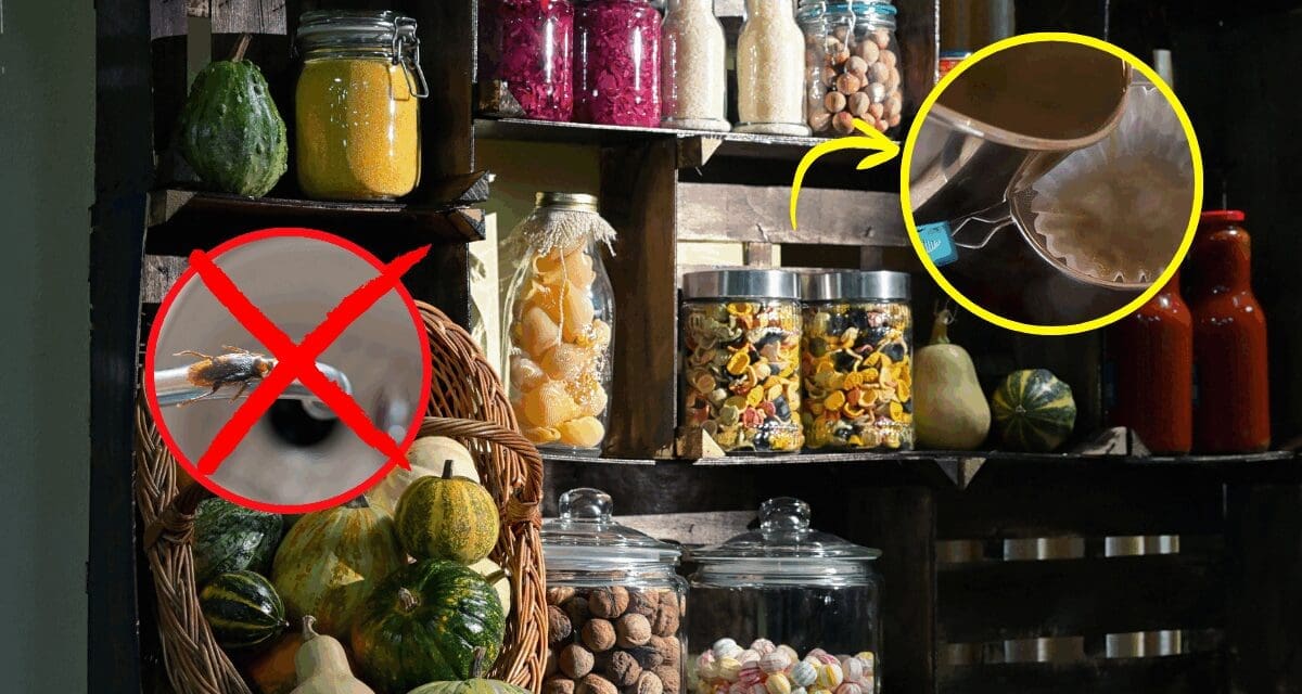 Add This to Your Pantry to Keep Pests Away This Winter