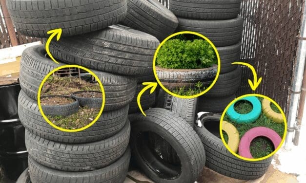 Don’t Throw Away Your Used Tires! Do This Instead