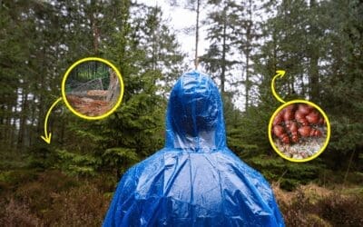 I Lived in The Woods for 15 Days and This is What Almost Killed Me