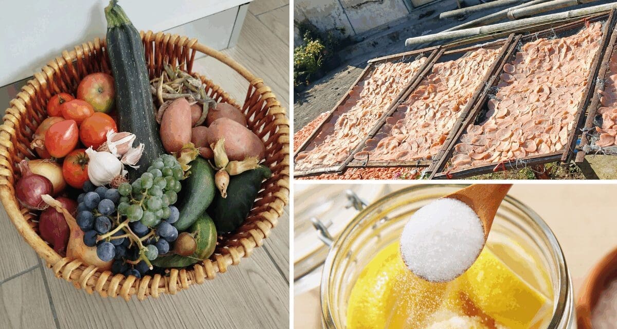 Best Ways To Preserve Your Fall Harvest