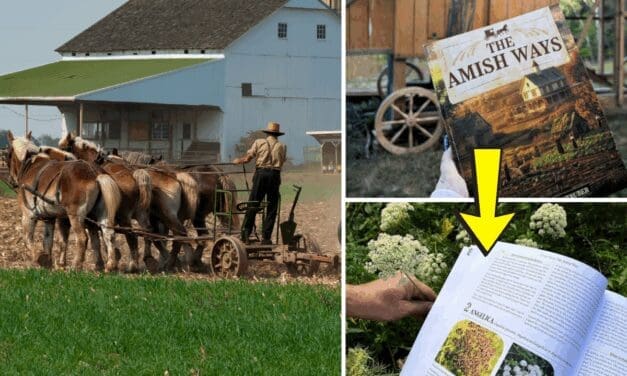 The Amish Ways: Book Review