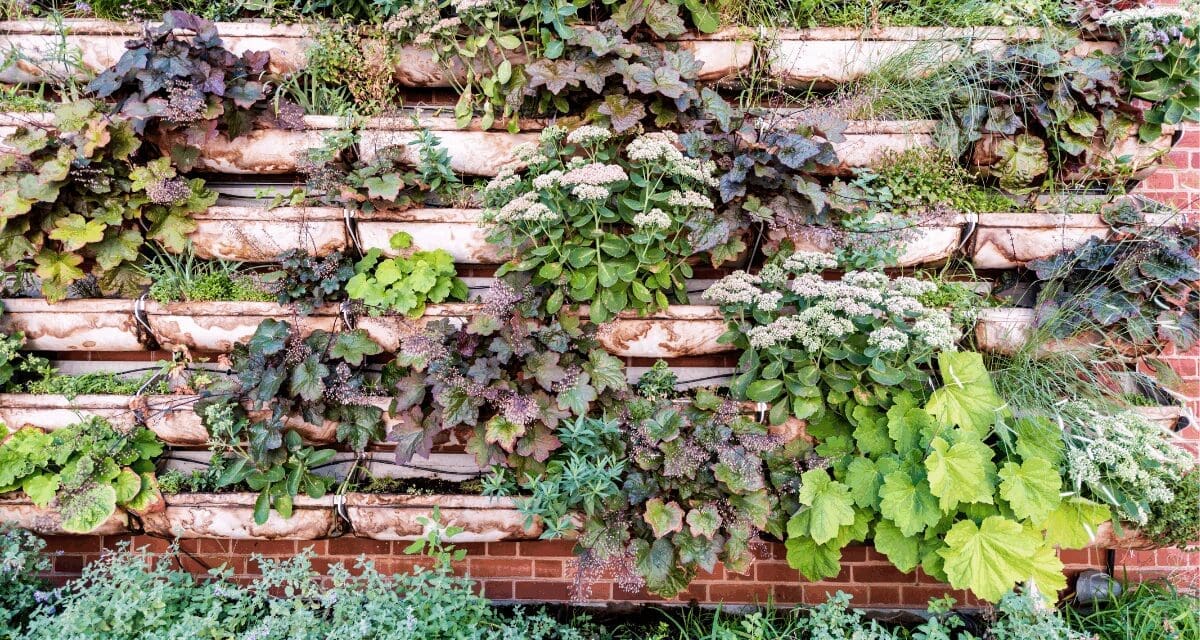 Vertical Gardening for Self-Sufficient Living