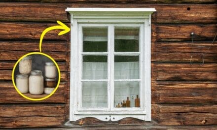Why You Should Rub Lard On Your Windows