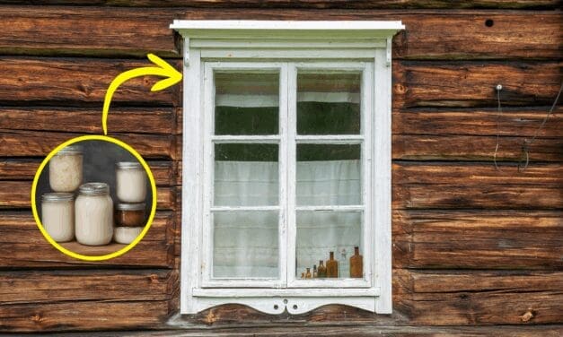 Why You Should Rub Lard On Your Windows